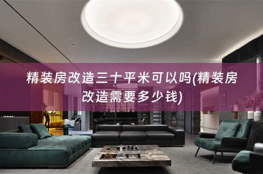 精装房改造三十平米可以吗(精装房改造需要多少钱)