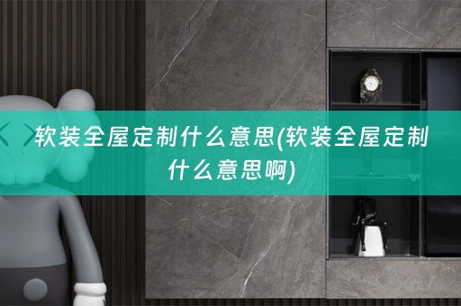 全屋定制什么意思啊)