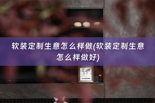定制生意怎么样做好)