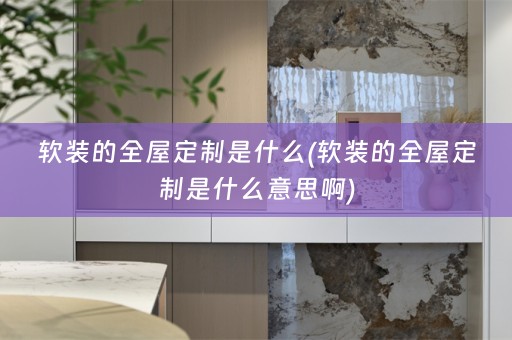的全屋定制是什么意思啊)