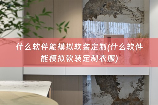 什么软件能模拟定制衣服)