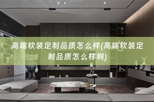高端定制品质怎么样啊)