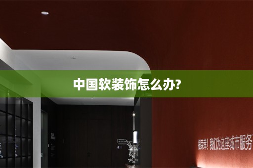 中国饰怎么办?