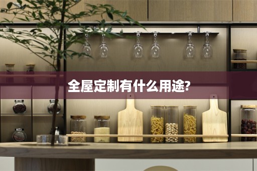 有什么用途?