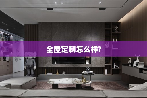 怎么样?