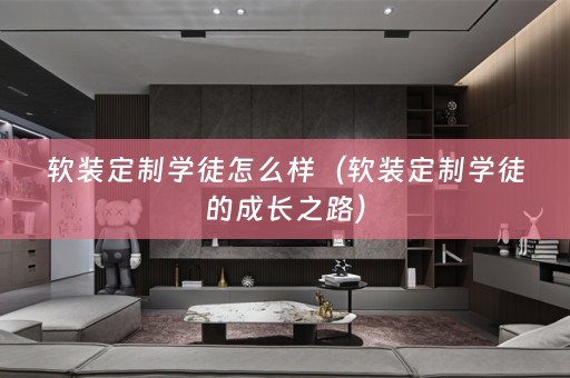 定制学徒的成长之路）