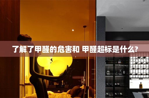 了解了甲醛的危害和 甲醛超标是什么?