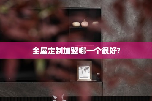 加盟哪一个很好?