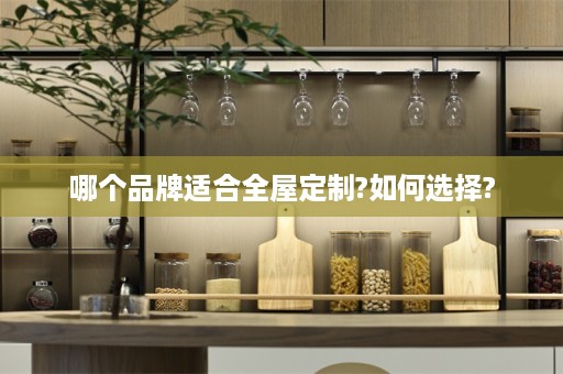 哪个品牌适合?如何选择?