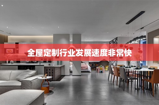 行业发展速度非常快