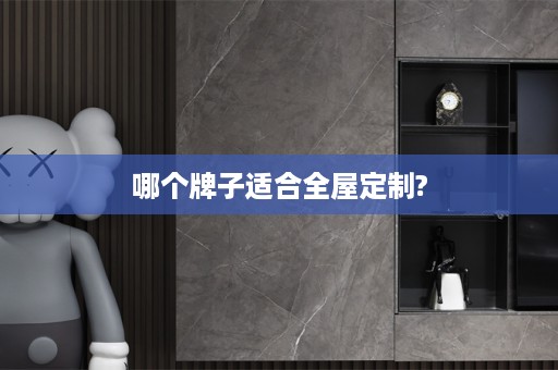 哪个牌子适合?