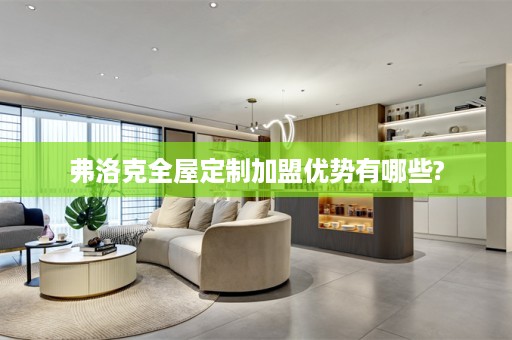 弗洛克加盟优势有哪些?