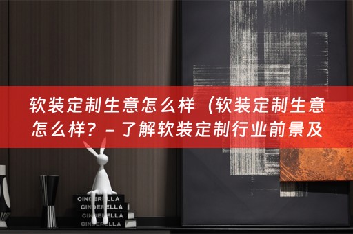 定制行业前景及经营方法）