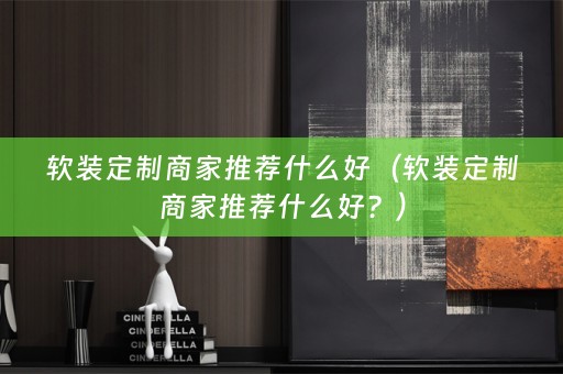 定制商家推荐什么好？）