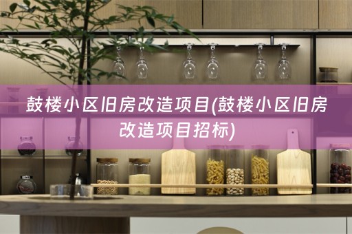 鼓楼小区旧房改造项目(鼓楼小区旧房改造项目招标)