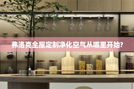 弗洛克净化空气从哪里开始?