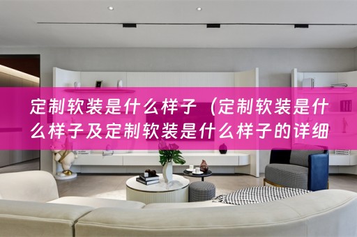 定制是什么样子的详细描述）