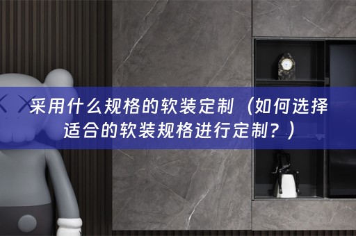 采用什么规格的规格进行定制？）