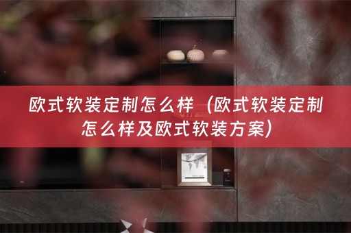欧式方案）