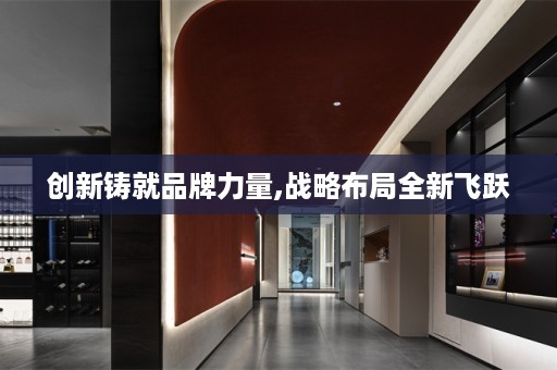 创新铸就品牌力量,战略布局全新飞跃