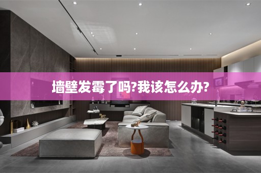 墙壁发霉了吗?我该怎么办?