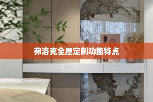 弗洛克功能特点