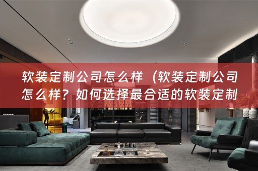 定制公司？）