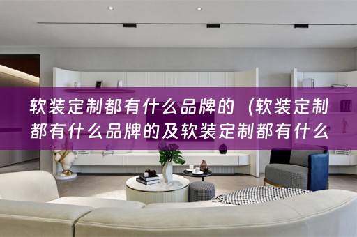 定制都有什么品牌的好）