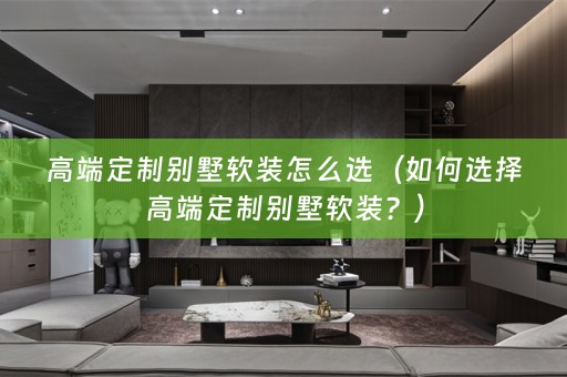 高端定制别墅？）
