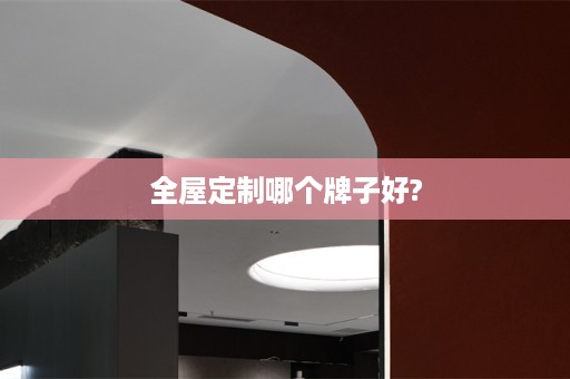 哪个牌子好?