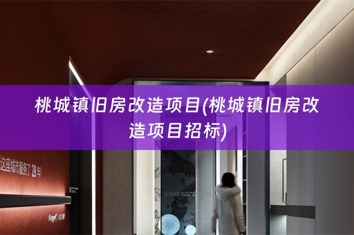 桃城镇旧房改造项目(桃城镇旧房改造项目招标)