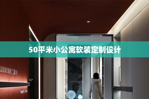 50平米小公寓定制设计