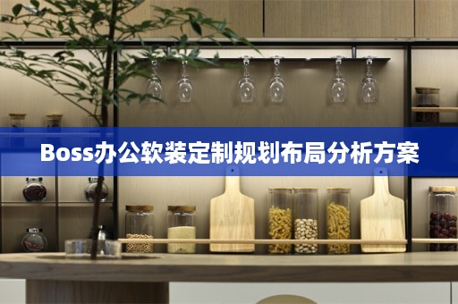Boss办公定制规划布局分析方案