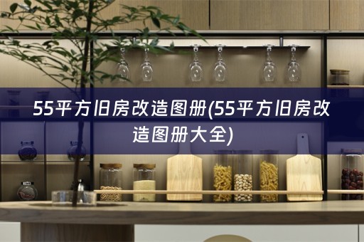 55平方旧房改造图册(55平方旧房改造图册大全)