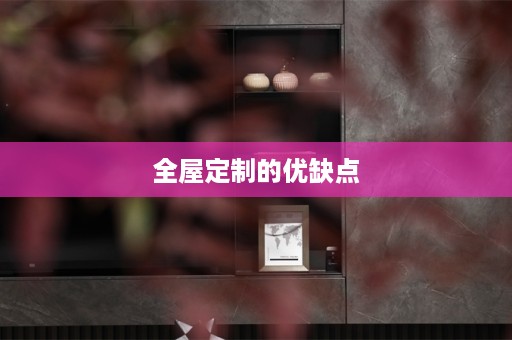 的优缺点