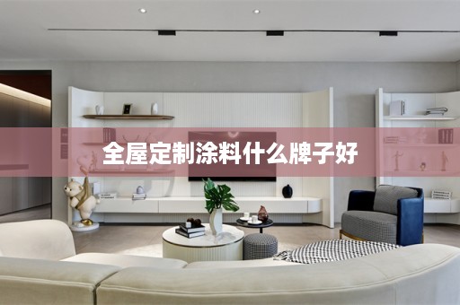 涂料什么牌子好
