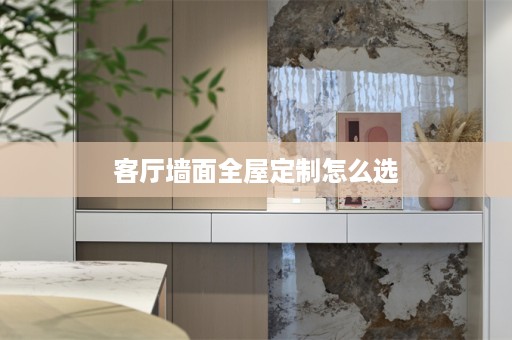 客厅墙面怎么选
