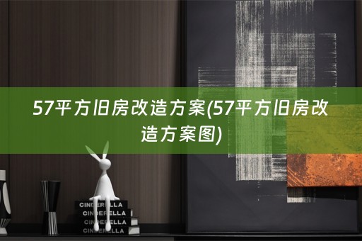 57平方旧房改造方案(57平方旧房改造方案图)