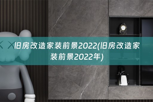 旧房改造家装前景2022(旧房改造家装前景2022年)