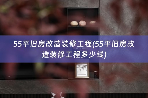 55平旧房改造装修工程(55平旧房改造装修工程多少钱)