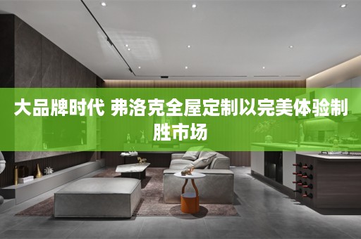 大品牌时代 弗洛克以完美体验制胜市场