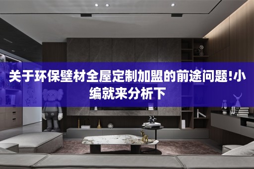 关于环保壁材加盟的前途问题!小编就来分析下