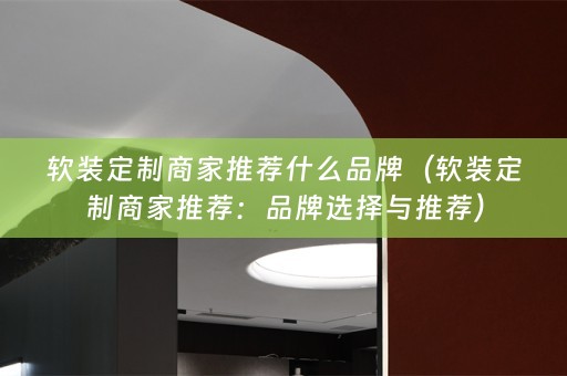 定制商家推荐：品牌选择与推荐）