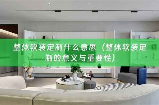整体定制的意义与重要性）