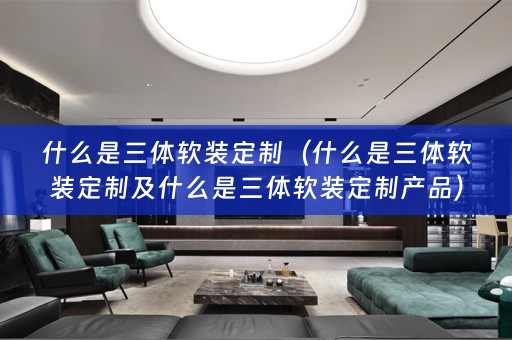 什么是三体定制产品）