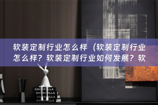 定制行业的前景如何？）