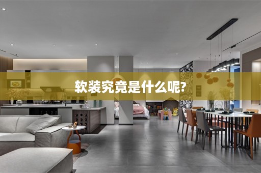 究竟是什么呢?