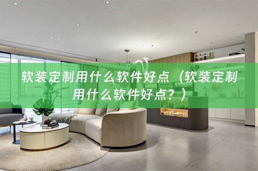 定制用什么软件好点？）