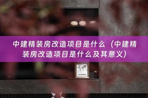 中建精装房改造项目是什么（中建精装房改造项目是什么及其意义）