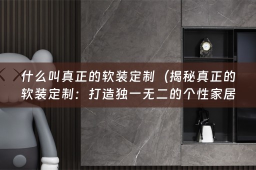 什么叫真正的定制：打造独一无二的个性家居）